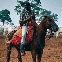 julianosilva8658