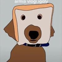vlogi.igolv