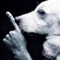 original sound - weakn_ss