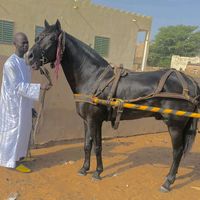 modou.ndiaye.2212