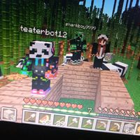 minecraft._.panda._.456