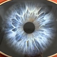 third_estate_vintage