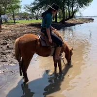 original sound - fragaa16_