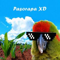 pasorapa_xd