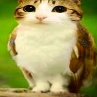 оригінальний аудіозапис – Товста7\Срака