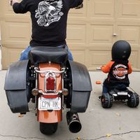 shafer_hd43