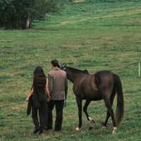 оригинальный звук