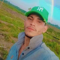 alex.alves5337