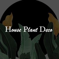 houseplant.deco