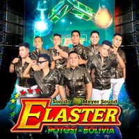 grupo_elaster