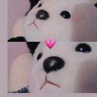 yanely0_
