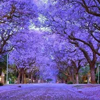 original sound - eva.lee11