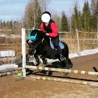 vilma.equestrian_