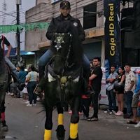 hermanvelasquez10