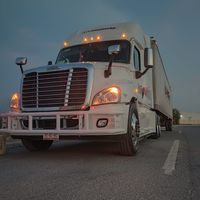 laesposadeuntrailero66