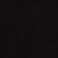 camiisavenue_