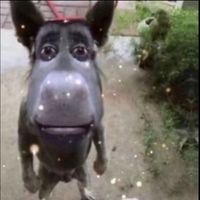 cassogamez