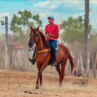 lucasoliveir450