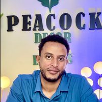 peacockdecor0911838483