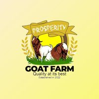 prosperitygoat