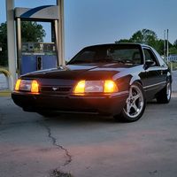 slow87fox