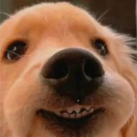 เสียงต้นฉบับ - Teammmmmmmmm🦖