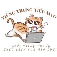 tieumaodayne