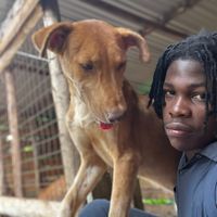 animal_rescue_since_2019