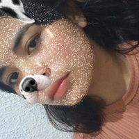 _ane.silxx