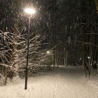 winter_lychevseh