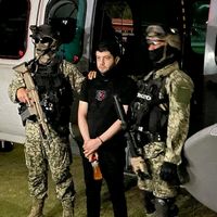 dripardios