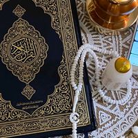 halimtayoub