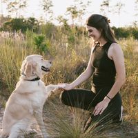 impacktfuldogtraining