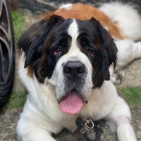 catarina.saobernardo