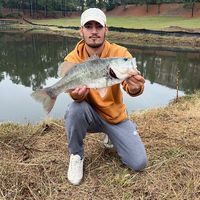cef4reel