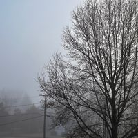 thered better be a mirrorball