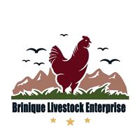 briniquelivestock