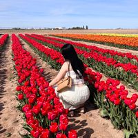 florguillen278
