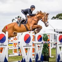 s.h.o.w.j.u.m.p.i.n.g