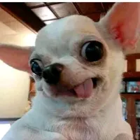 original sound - jlcdigital