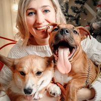 bouncykings_kennel