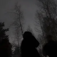 original sound - wxnterfall