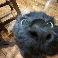 jaxoncosplays