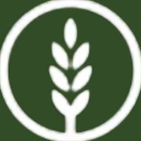 neolifenigeriaofficial