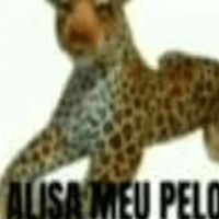 luluzaow