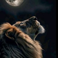 voceedeus.motivacional