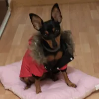 me acabo de ver en el espejo