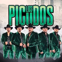 original sound - lospicudosofficial