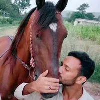 original sound - zahid_abbas512