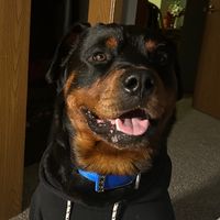 gangsta_kev_